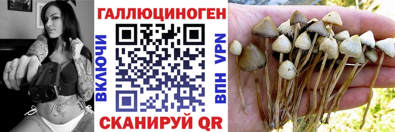 Купить  Оленегорск  Галлюциногенные грибы мухоморы 
